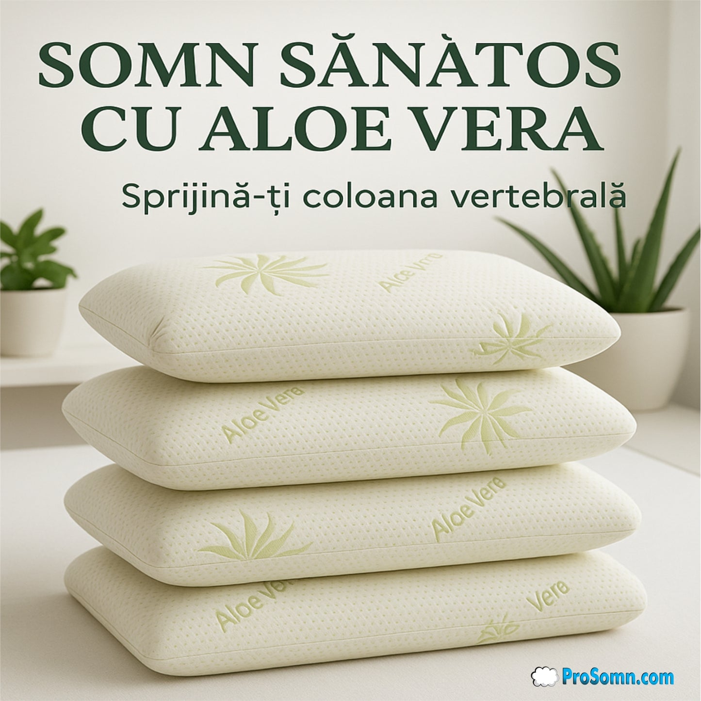 PERNA CERVICAL ALOE VERA DIN SPUMA CU MEMORIE